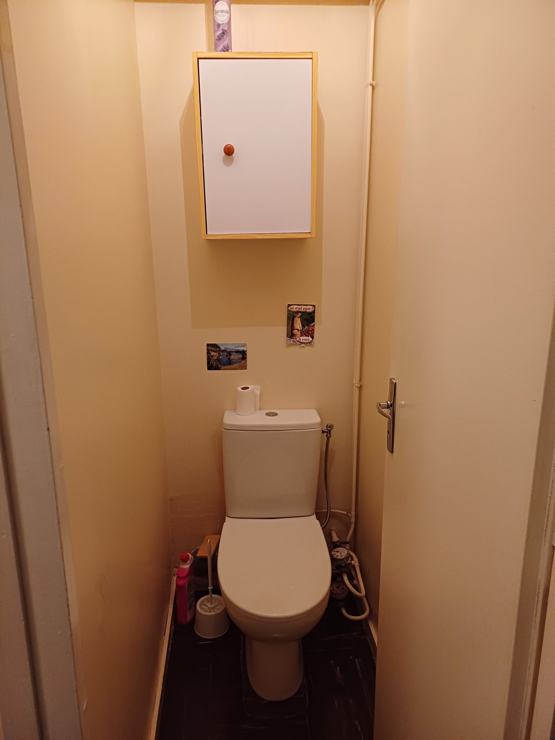 20240816_105149 20240816_105149