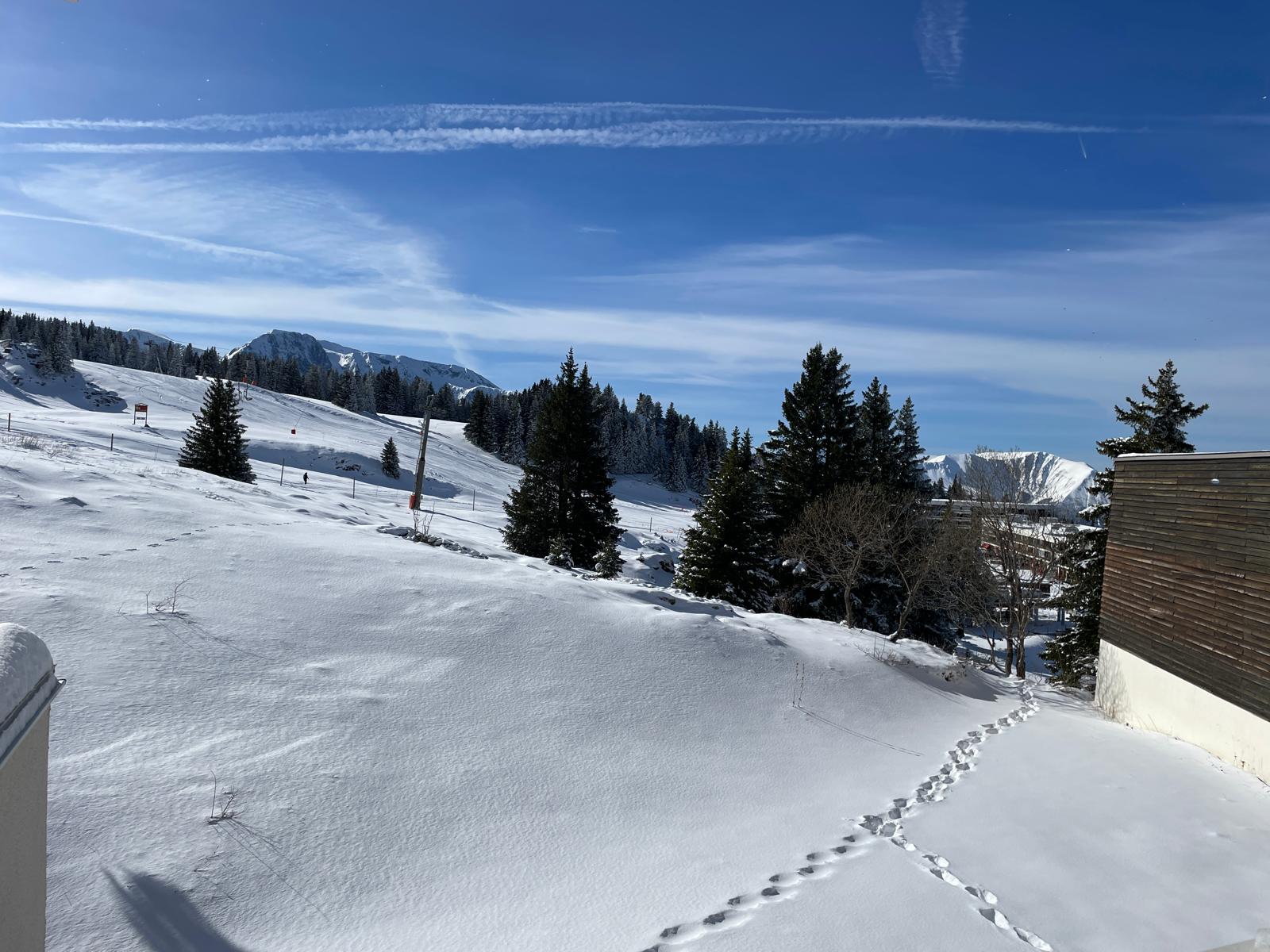 IMG-20250808-WA0000 IMG-20250808-WA0000